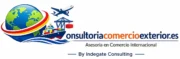 cropped Logo de consultoria en comercio exterior 1.webp